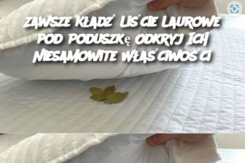 Zawsze kładź 2 liście laurowe pod poduszkę – dowiedz się dlaczego