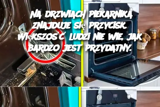 Na drzwiach piekarnika znajduje się przycisk. Większość ludzi nie wie, jak bardzo jest przydatny.